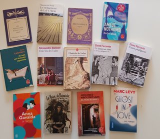 Lote libros variados en francés. Superocasión