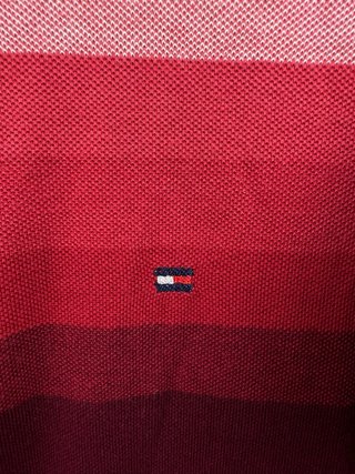 Polo Tommy Hilfiger Rayas Degradadas