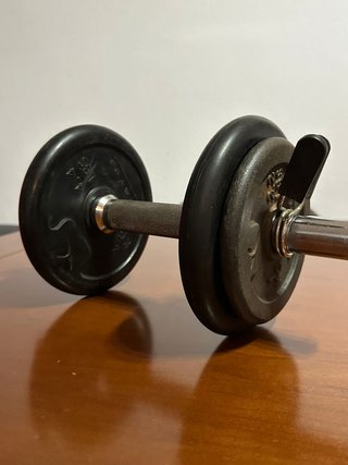 Mancuerna Domyos ajustable – 8 kg – Diámetro 28