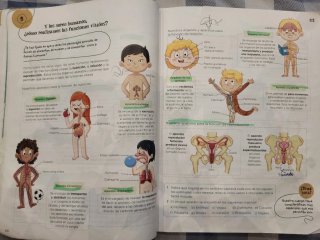 Ciencias de la Naturaleza, 4 Primaria