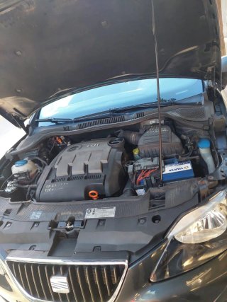 SEAT Ibiza 2011