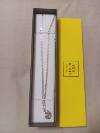 Cadena de plata con colgante