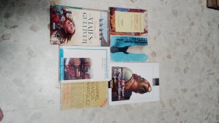Lote 6 Clásicos: Quijote, Gulliver y más