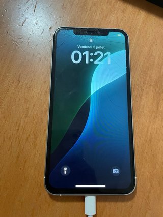 iPhone 13 Pro max blanco