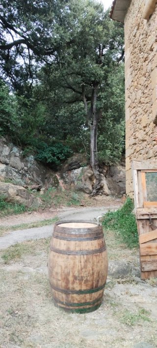 Bota de vi / bota de vino