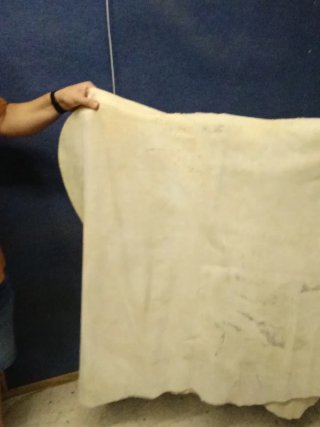 Piel Vacuno Serraje Estampado Cebra Azul