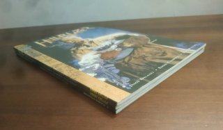 Lote Hellblazer
