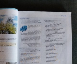 Lengua Castellana Y Literatura 2 Eso Comunidad ...