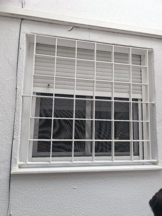 Reja de hierro de seguridad blanca para ventana