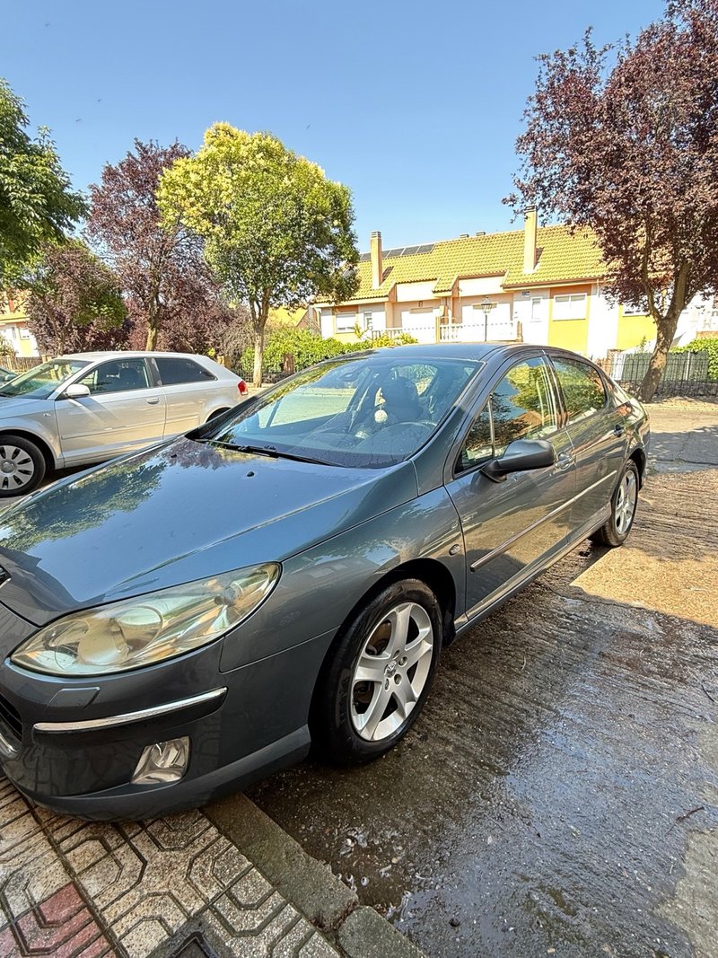 Peugeot 407 2004 - foto 1