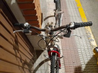 Bicicleta de montaña Globe Trotter