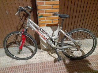 Bicicleta de montaña Globe Trotter