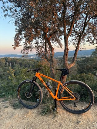 Bicicleta de montaña Specialized Carbono