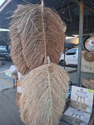 2x 12€  Hojas Palma