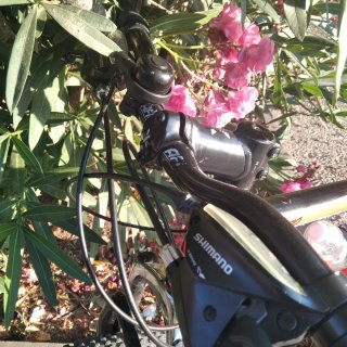 Bicicleta Montaña CONOR 6200. Entrega en mano