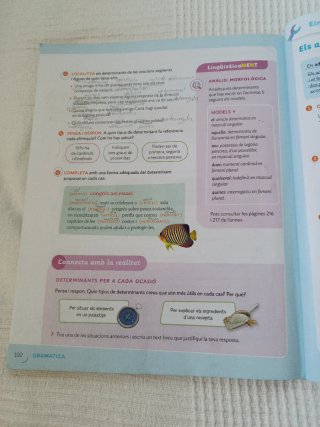 LLENGUA CATALANA 5 PRIMARIA CONSTRUINT MONS