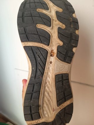 Zapatillas Asics Running Fucsia Talla 38