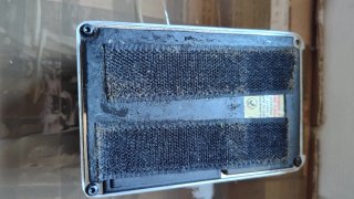 T-Rex Tonebug distorsion pedale per chitarra