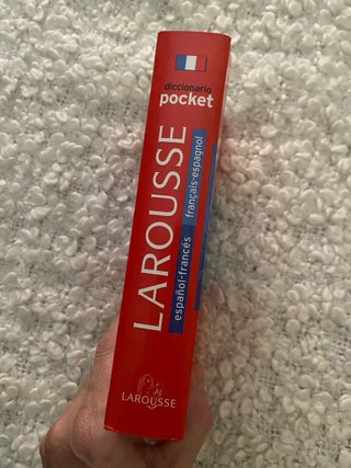 DICCIONARIO LAROUSE FRANCÉS