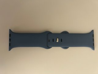 Correa Apple Watch