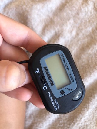 Termómetro Digital para Acuario