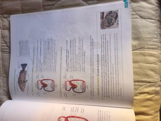 Biología, Geología y c.amb 1 bachillerato revuela