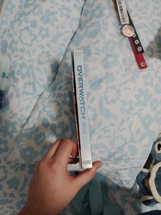 Overwatch Origins Edition pc
