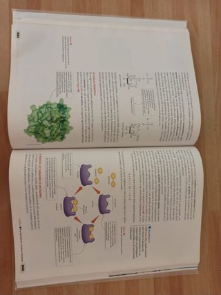 Carbonio, metabolismo, biotech. Chimica organic...