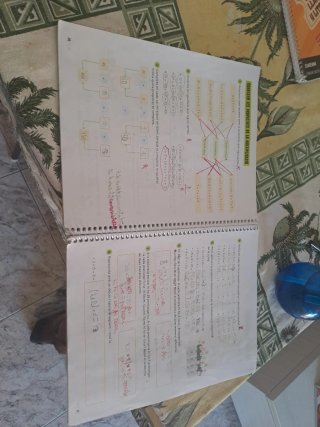 Matemàtiques 4, Segon Cicle, Primària, Fanfest ...