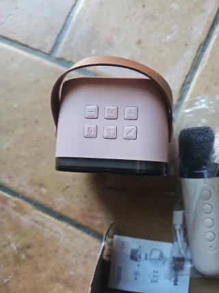 Cassa Karaoke DGBAVARIA con Microfono USB