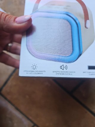 Cassa Karaoke DGBAVARIA con Microfono USB