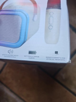 Cassa Karaoke DGBAVARIA con Microfono USB