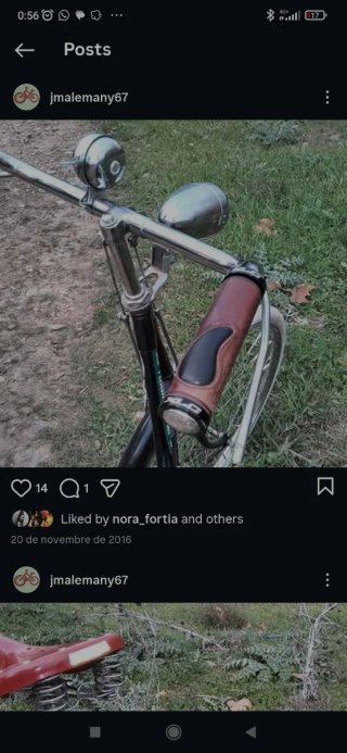 Lote de Bicicletas Clásicas paseo Gazelle BH