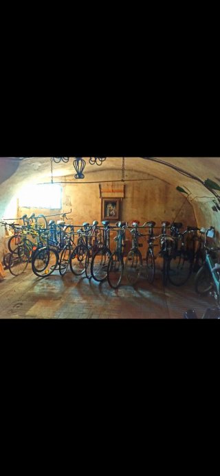 Lot de 15 bicicletes Clàssiques