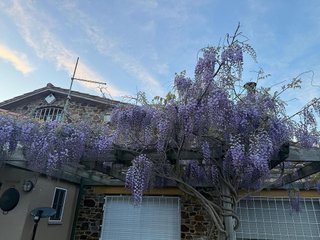 Chalet en alquiler en Vallvidrera - El Tibidabo i les Planes en Barcelona