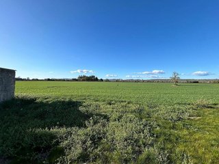 Nave industrial en alquiler en Campos