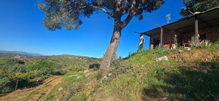 Solar en venta en Monda