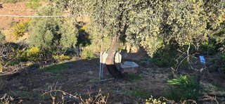 Solar en venta en Monda