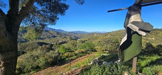 Solar en venta en Monda