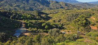 Solar en venta en Monda
