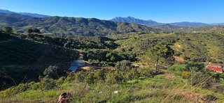 Solar en venta en Monda