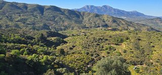 Solar en venta en Monda