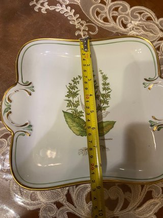 Vassoio decorato con pianta Ancap