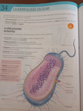 Biología y geología, 4 ESO.