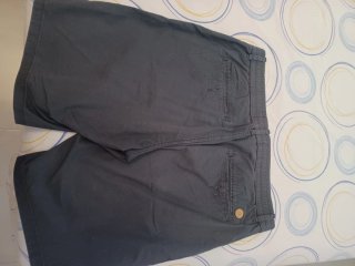 Pantalones cortos springfield y Cedar Vool Estater