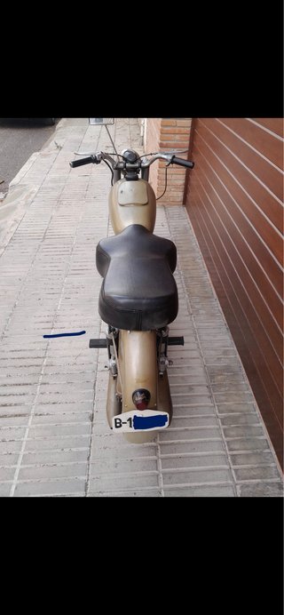 Montesa Brio denominada trucha,