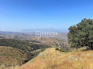 Solar en venta en Residencial Jardín Botánico en Málaga
