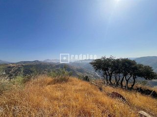 Solar en venta en Residencial Jardín Botánico en Málaga