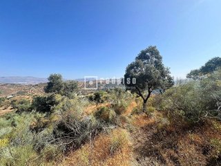 Solar en venta en Residencial Jardín Botánico en Málaga