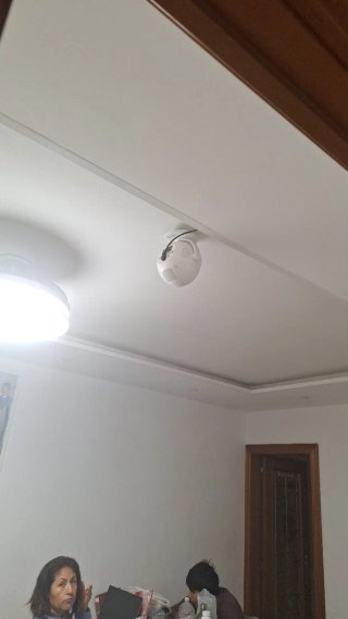 PALETA EN REFORMAS
